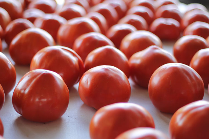 What To Do With Too Many Tomatoes