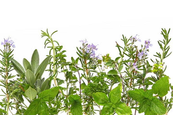 New Ideas For Bountiful Herbs