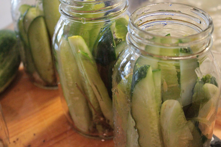 Homemade Pickles In a Hurry