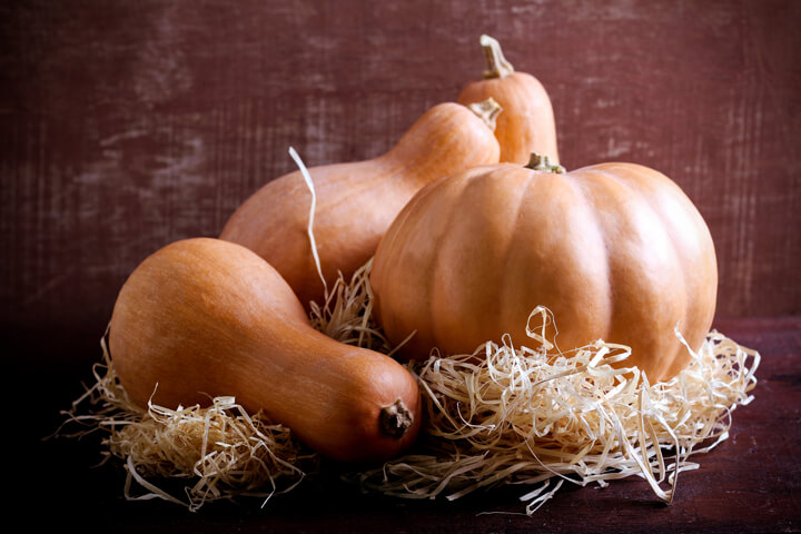 Don't Squash the Pumpkin!