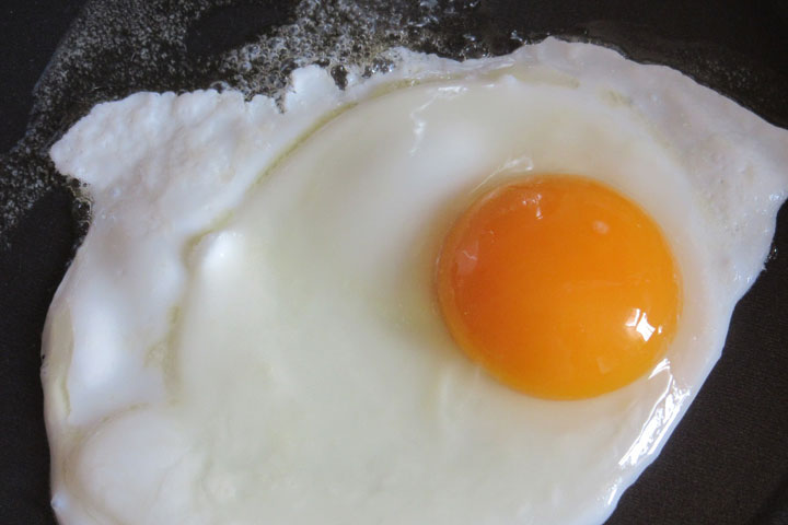 Eggspert Advice, Part I