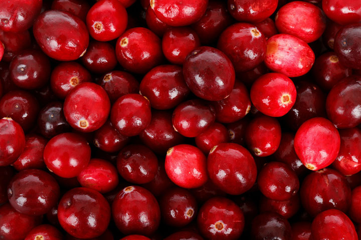 Cranberry Sauce: From the Bog to Mind-Boggling