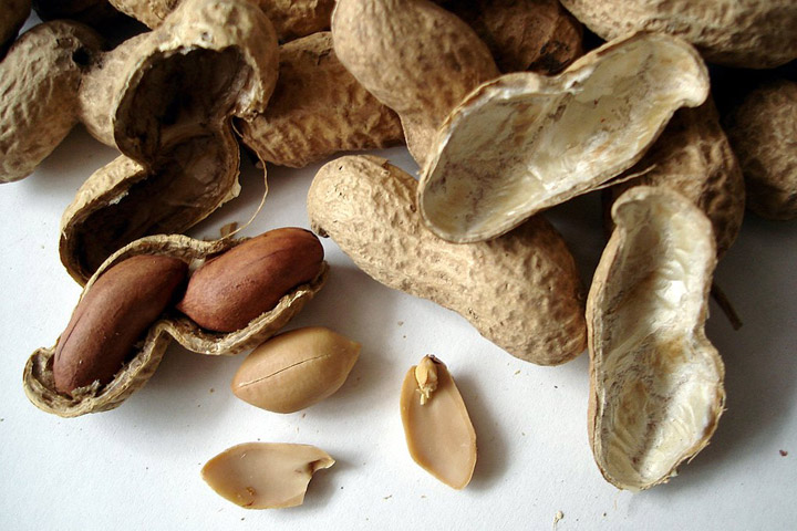 The Peanut Butter Legend