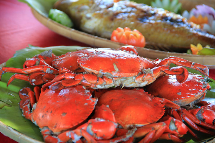Cioppino: An Everyday Delight