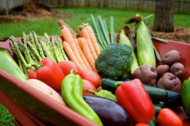 From My Mother's Kitchen Garden