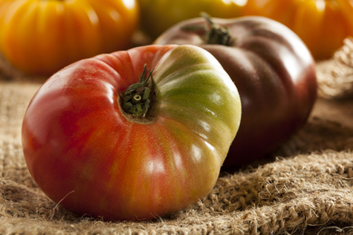 Pretty Ugly Tomato