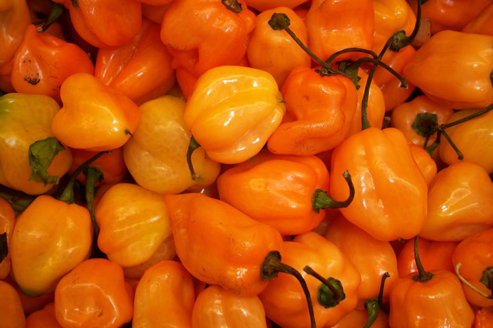 Some Like It Hot . . . In the Crockpot