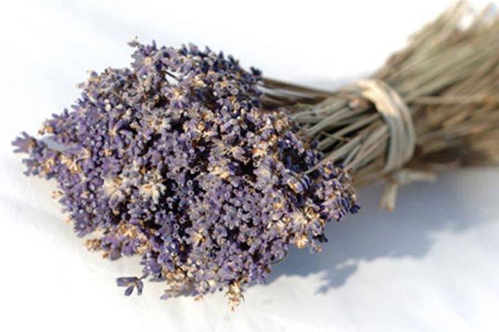 Lavender at Your Table