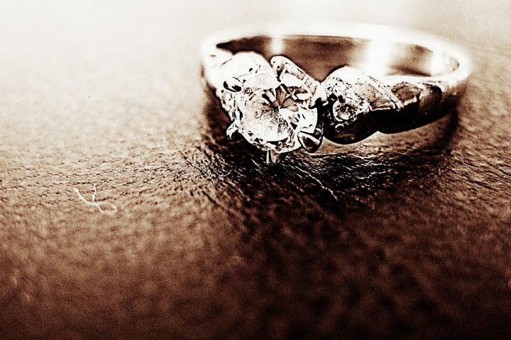 Proposal Pork Chops
