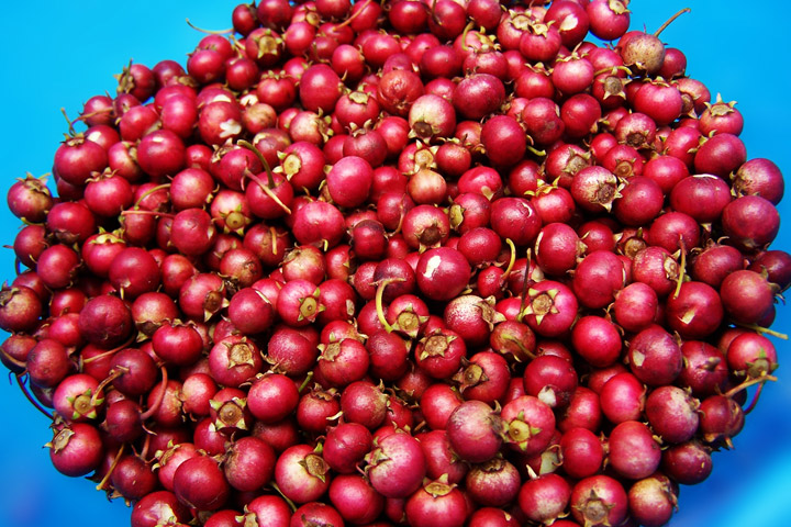 Don't Forget the Cranberry Sauce