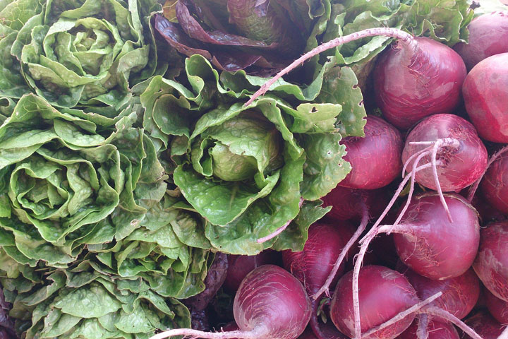 Defining Organic