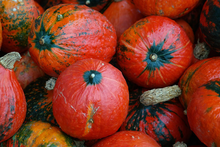 Winter Squash, From Decoration to Dinner
