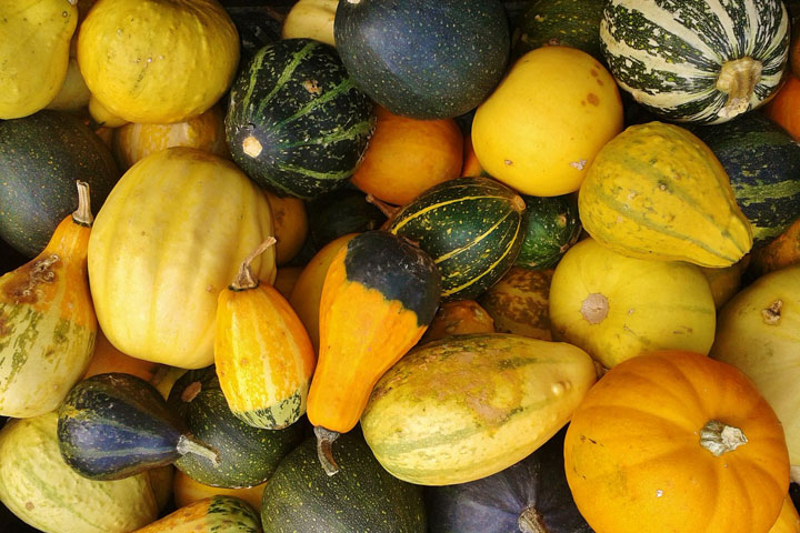 Squash, That Impulse