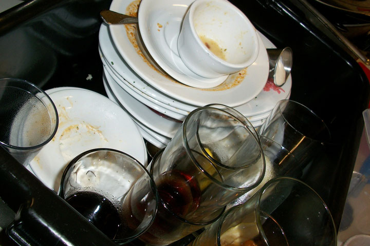 Life With Dishwasher