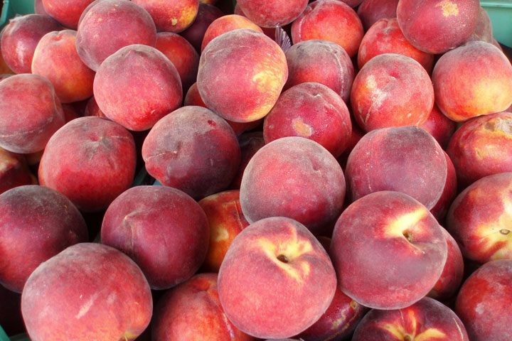 Summer's Encore Performance: Peaches