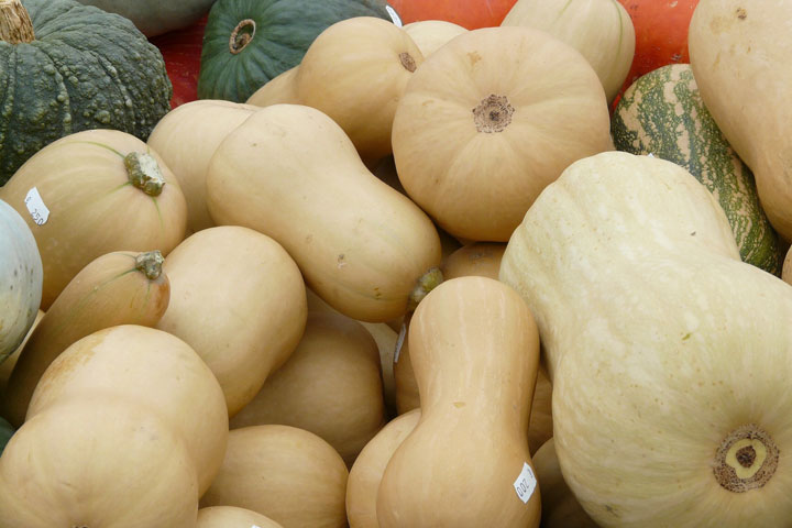 A Meal Fit for the Fall, Drink and All