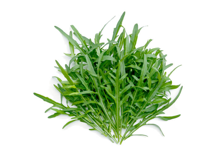 Arugula Gone Wild
