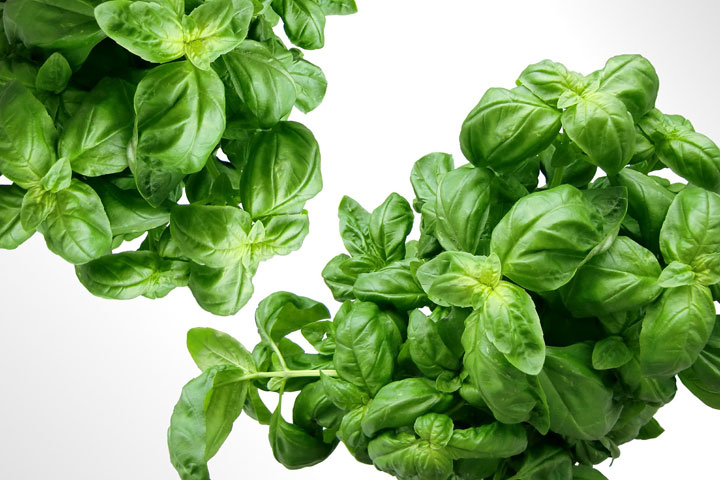 Adding Fresh Herbal Flavors to Your Slow Cooking