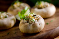 Cooking expert article: Magical Mushrooms