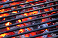 Cooking expert article: Going Off The Grid