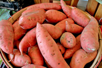 Cooking expert article: Summer of Sweet... Potatoes?