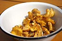 Cooking expert article: Not Your Everyday Mushroom