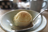Cooking expert article: Bringing Home the Ice Cream
