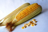 Cooking expert article: Off the Cob and Onto the Plate