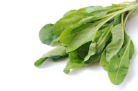 Cooking expert article: The Green Bean Casserole Alternative