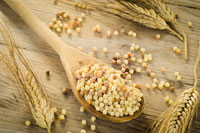 Cooking expert article: The New Couscous Is Fregola