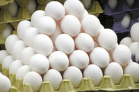 Cooking expert article: Eggspert Advice, Part II