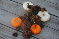 Cooking expert article: Relax. . . It's Only Thanksgiving
