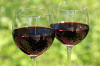 Cooking expert article: A Wine-Worthy Picnic