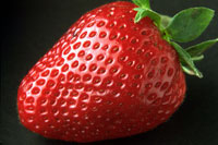 Cooking expert article: Strawberries and Leather