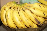 Cooking expert article: New Food of the Month: Plantains