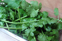 Cooking expert article: Mexican Melting Pot