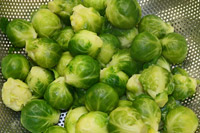 Cooking expert article: Interpretation and Tradition on Thanksgiving