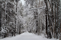 Cooking expert article: A Globally Warmed Winter Menu