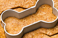 Cooking expert article: Feeding Fido