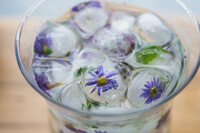 Cooking expert article: Edible Landscaping Part Two: Should You Really Be Eating Those Flowers?
