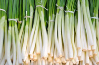 Cooking expert article: Simple Pleasures: Jenny's Cooking Show