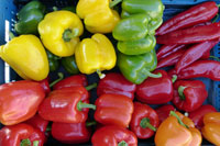 Cooking expert article: Living La Vida Local