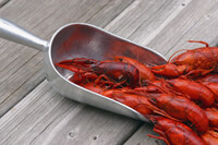 Cooking expert article: Louisiana Mud Bugs