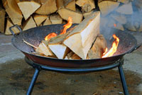 Cooking expert article: Bringing the Great Outdoors Indoors
