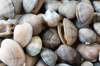 Cooking expert article: Seaside on the Home Front