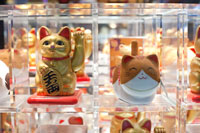 Cooking expert article: Kitchen Putties