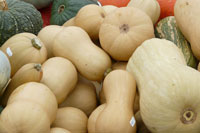 Cooking expert article: A Meal Fit for the Fall, Drink and All