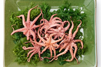 Cooking expert article: Scary Foods: More Treats Than Tricks