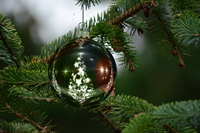 Cooking expert article: Waking Up For Christmas Eve