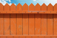 Cooking expert article: Being the Bachelor Next Door